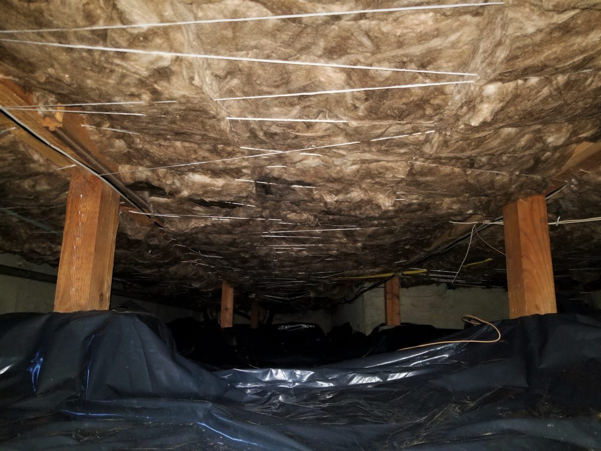 Bloom Crawl Space Services | Portland Oregon | Vancouver Washington